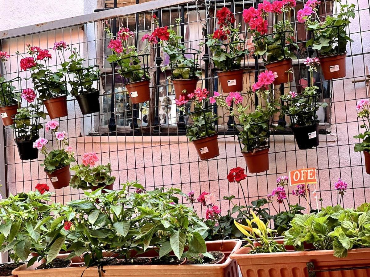 Feria Appartement *