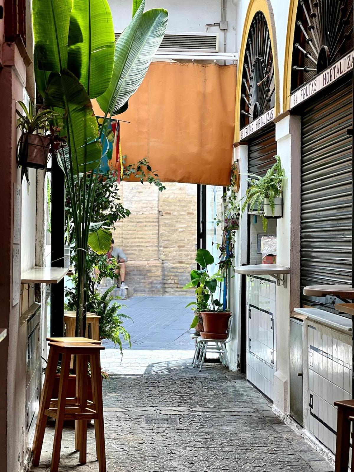 Appartement Feria *